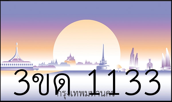 3ขด 1133